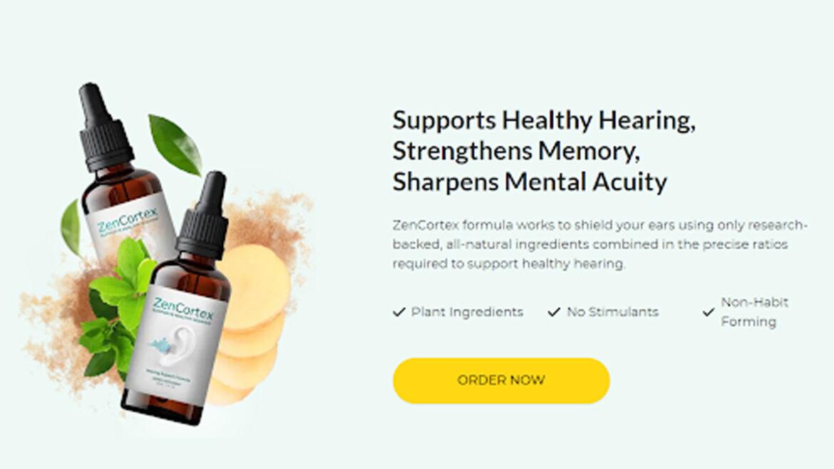 1ZenCortex