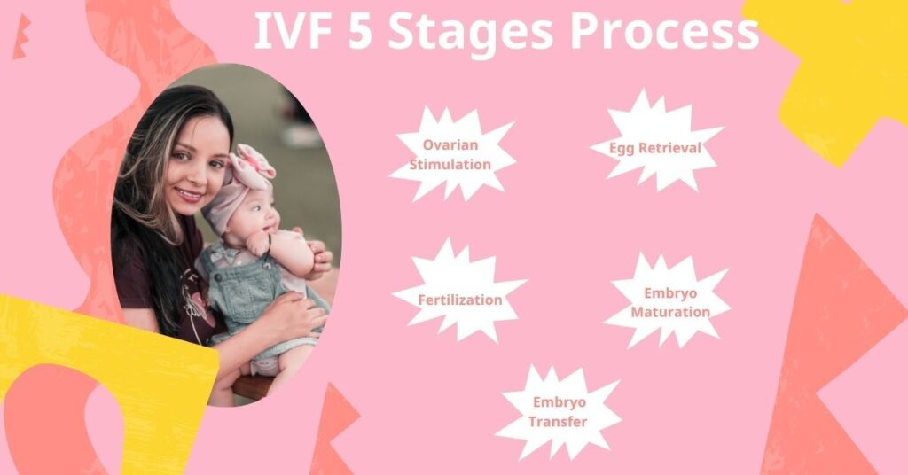 IVF Explained: Everything You Need to Know Before Starting Treatment 6 IVF Journey