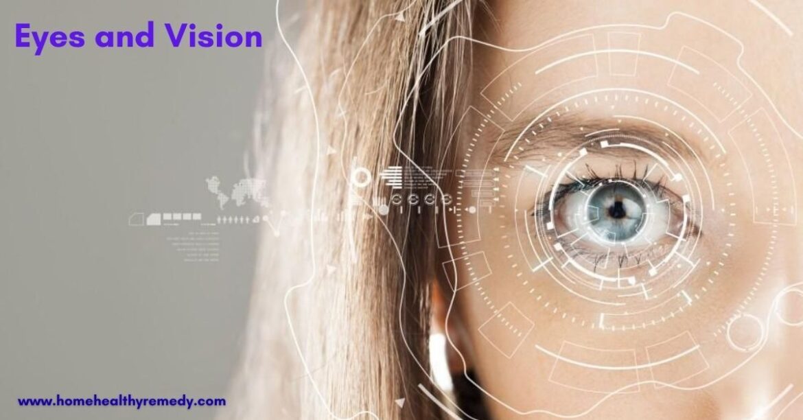 Eyes and Vision