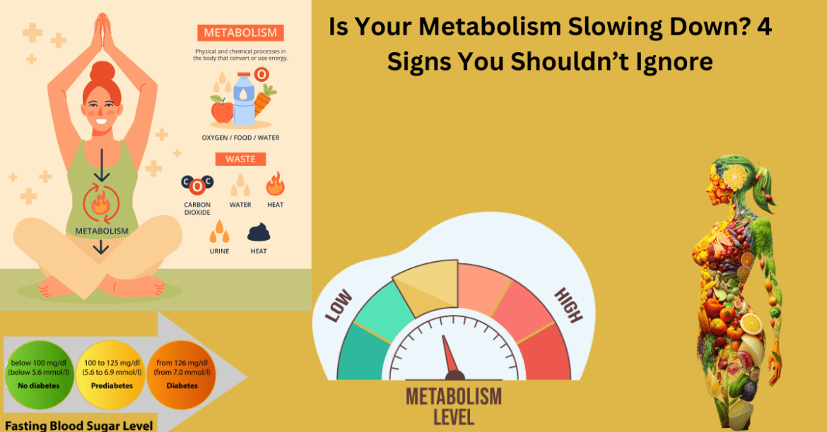 Is Your Metabolism Slowing Down? 4 Signs You Shouldn’t Ignore